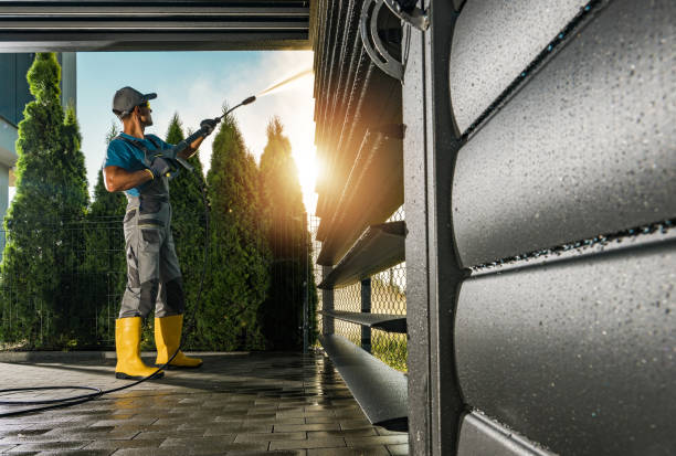 Best Graffiti Removal  in Lackawanna, NY